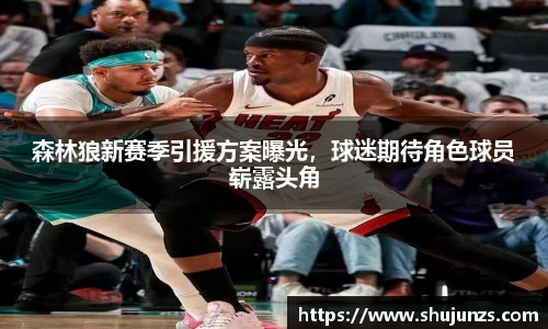 森林狼新赛季引援方案曝光，球迷期待角色球员崭露头角