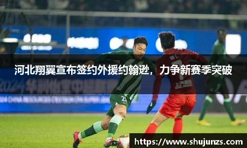 河北翔翼宣布签约外援约翰逊，力争新赛季突破