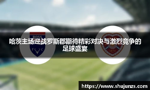 MILE米乐M6平台