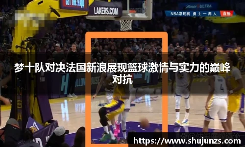 梦十队对决法国新浪展现篮球激情与实力的巅峰对抗