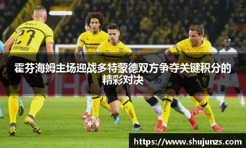 霍芬海姆主场迎战多特蒙德双方争夺关键积分的精彩对决